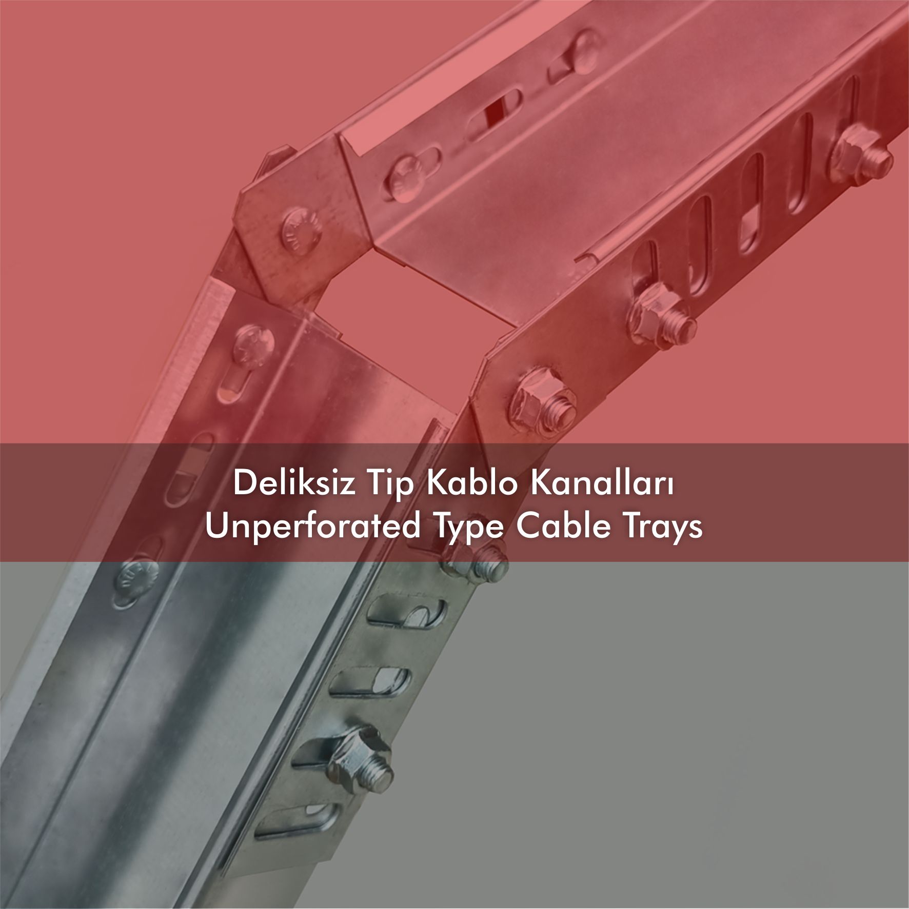 Deliksiz Tip
                                Katalog